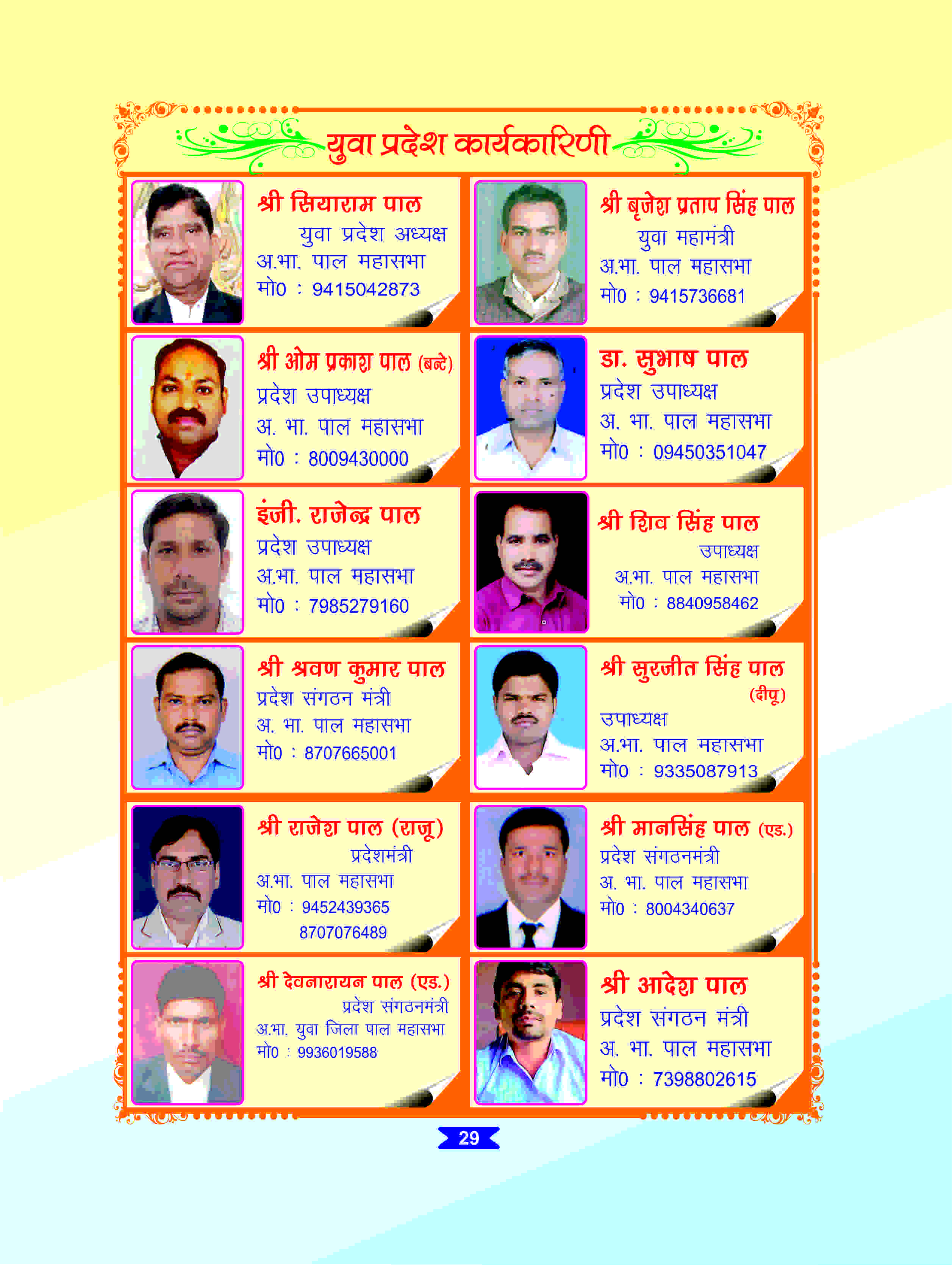 Page 29